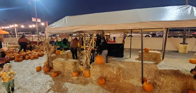 Shawn's Pumpkin Patch