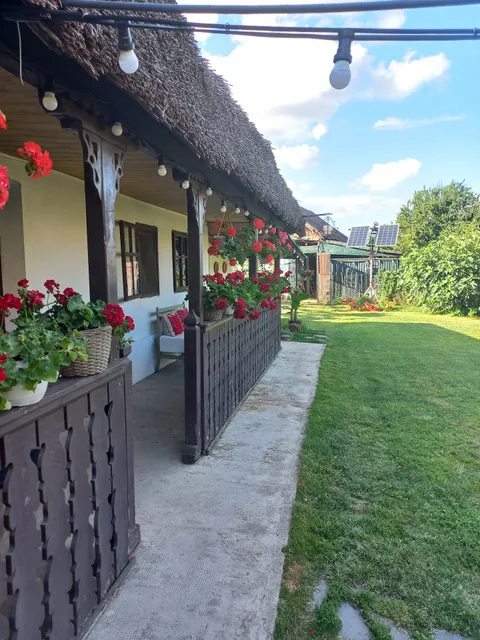 Grandparents' House (Casa Bunicilor)