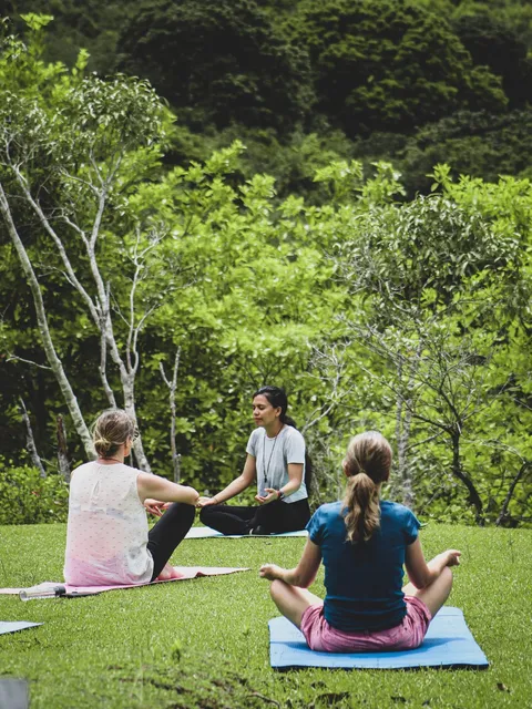 Yoga Motion | Amy Lai