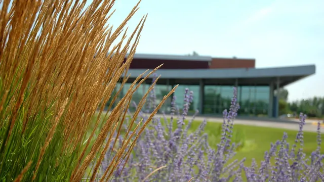 Church of the Open Door