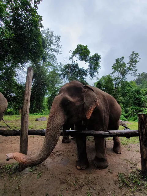 Sunshine for elephant project