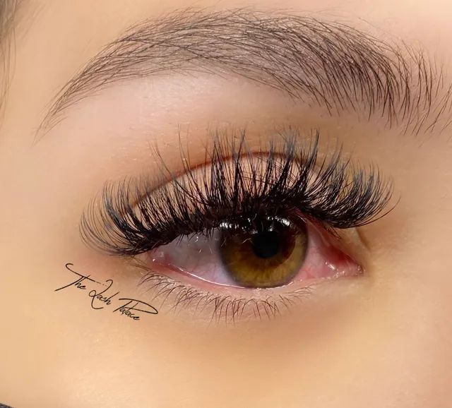 The Lash Palace San Diego