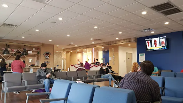 Doctor Bean Coffee Co.