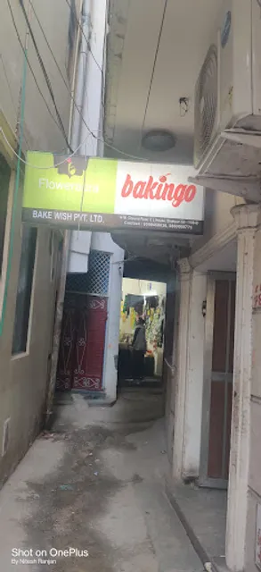Bakingo