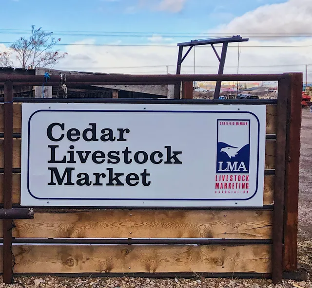 Cedar Livestock Market