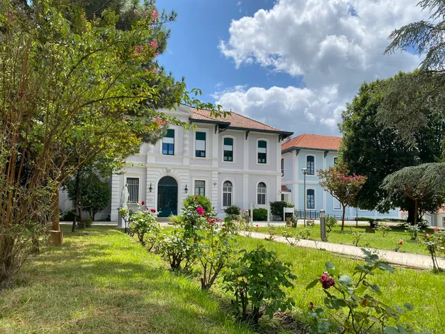 Enfance & Découverte - Au Moulleau