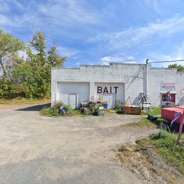 Off the Beaten Path Sporting