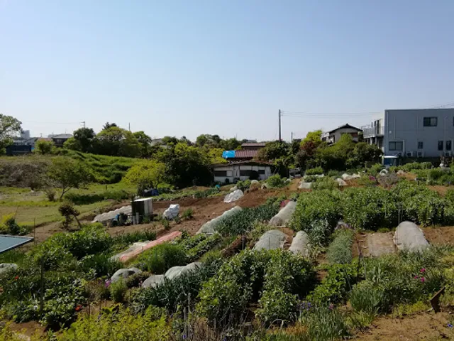 Share Field Chiba Kemigawa