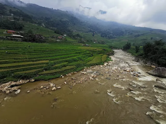 Nhà Hàng Hoàng Liên