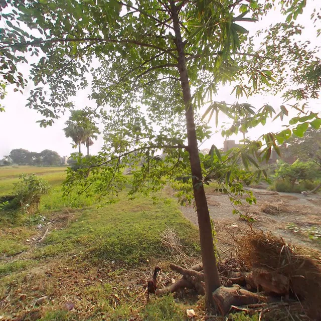 POP Royal Family Restuarant Cafe & Rest House