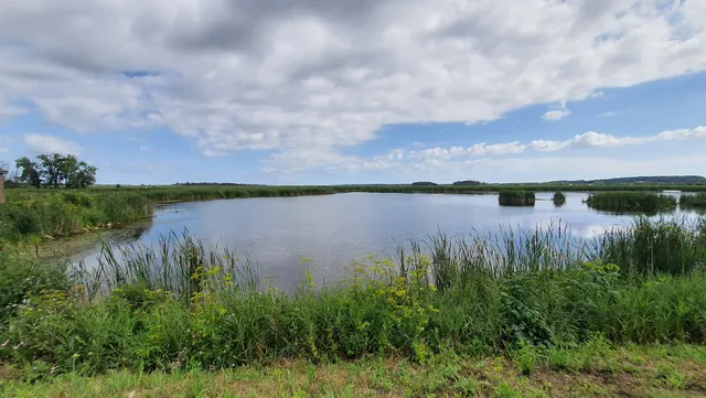 Horicon Marsh State Wildlife Area