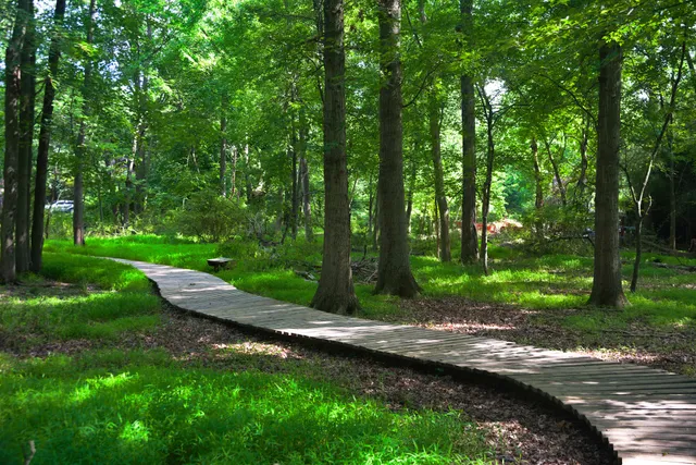 Fanwood Nature Center