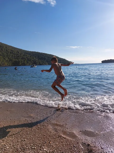 Apartmani Maslina Žuljana