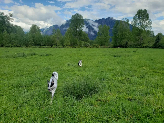 Three Forks Off-Leash Dog Park