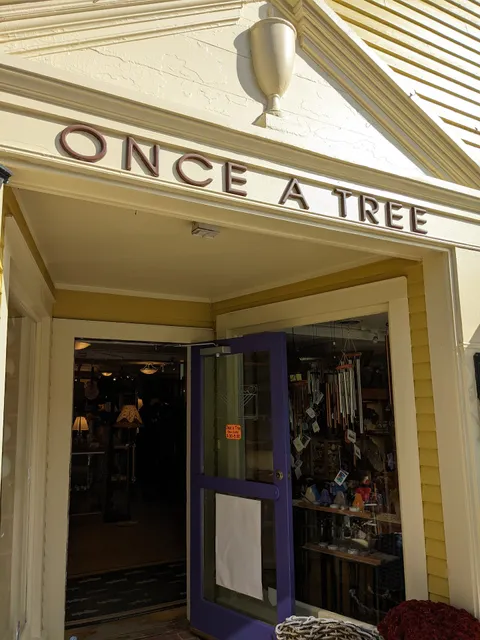 Once A Tree
