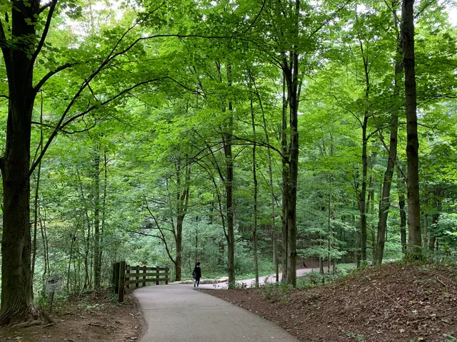 Sixteen Mile Creek Parking