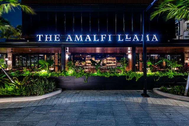 The Amalfi Llama - Miami