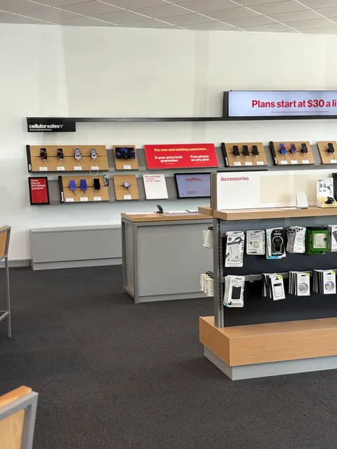 Verizon Business Services