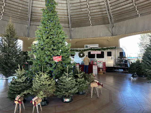 Neighborhood Christmas Tree Co