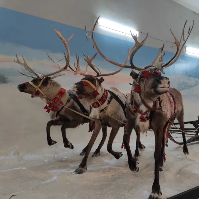 Muzey Istorii, Kul'tury I Byta Kol'skikh Saamov