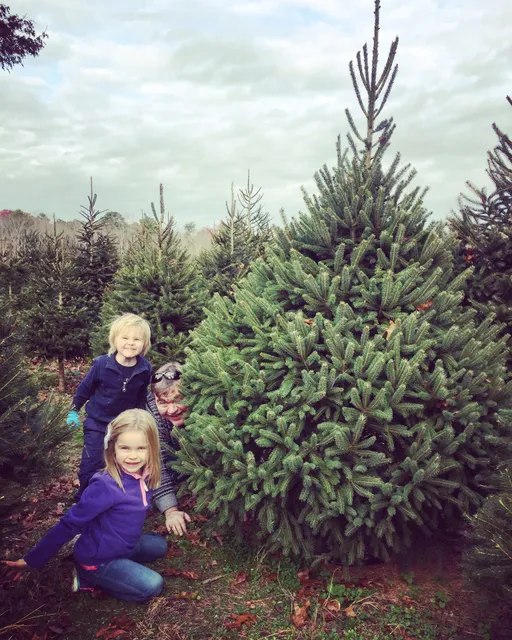 Mike's Christmas Tree Farm