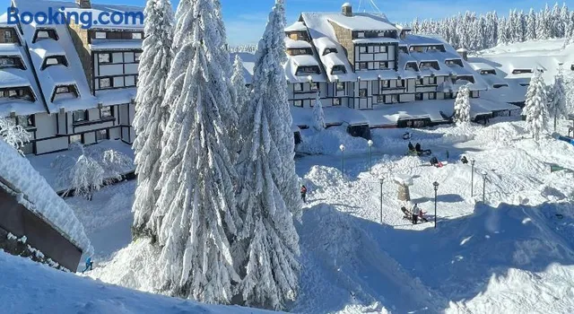 Apartments KONACI Kopaonik - KOZNIK