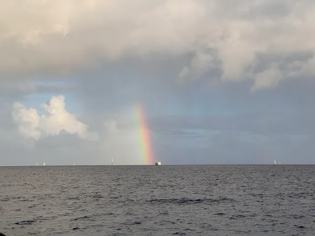 Blue Ocean Snorkeling