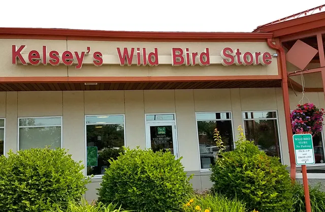 All Seasons Wild Bird Store