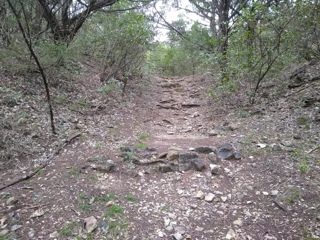 Bright Leaf Preserve