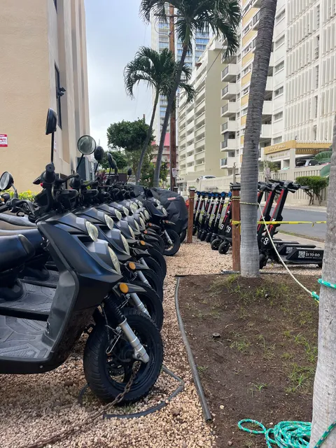 Hawaii Trikes Adventure Tours