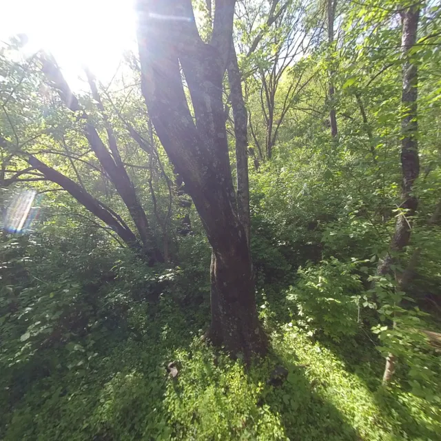 Mill Mountain Star Trailhead