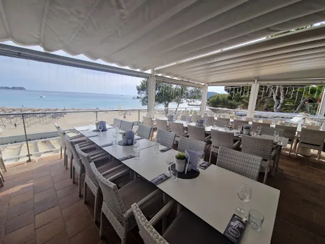 Momos Restaurant | Pizzeria, Lounge