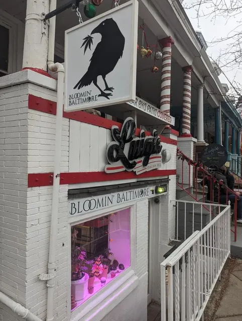 Bloomin’ Baltimore