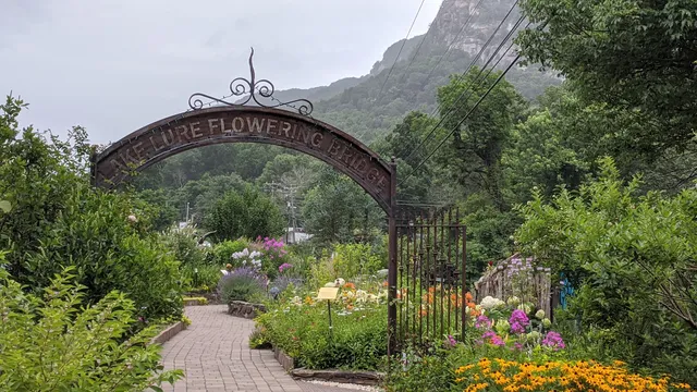 Lake Lure Flowering Bridge