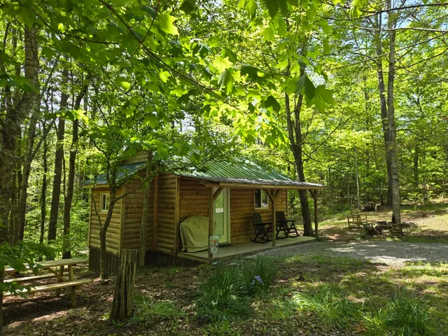 Forest Cabin at Sinking Creek