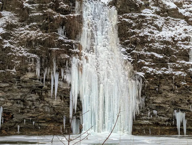 Vermilion River Reservation: Bacon Woods