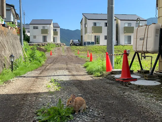 貸別荘ウサギの郷 BUNNY VILLA