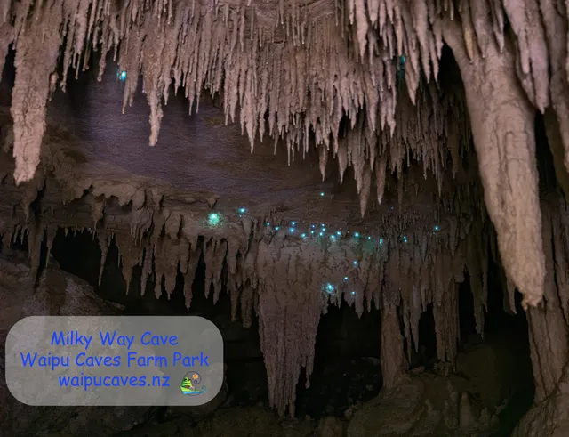 Waipu Caves Farm Park