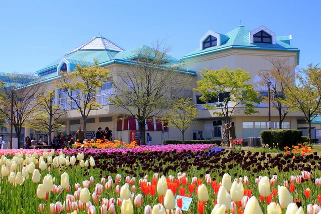 フェスティバルパーク（道の駅 新潟ふるさと村 ‎）