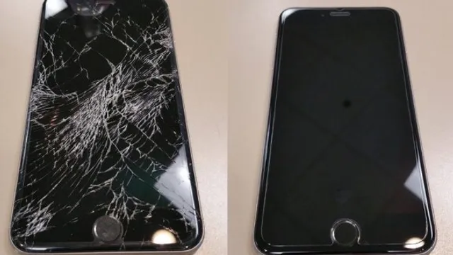 Buy cell fix Warwick LLC