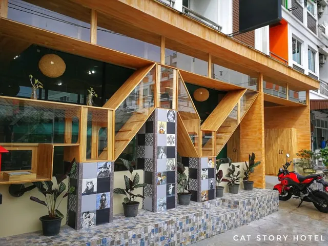 Cat Story Hotel