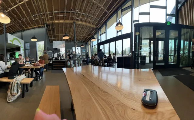 Shimshon at The Grove