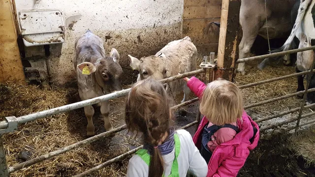 Ferienbauernhof Beer, Schoppernau
