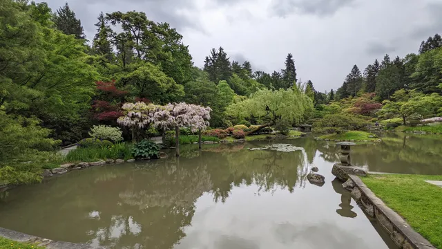 Pacific Connections Gardens at Washington Park Arboretum