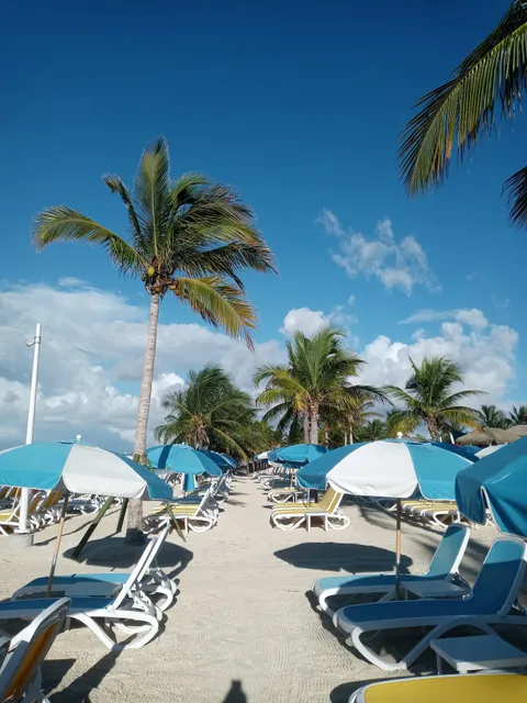 South Beach Snack Shack