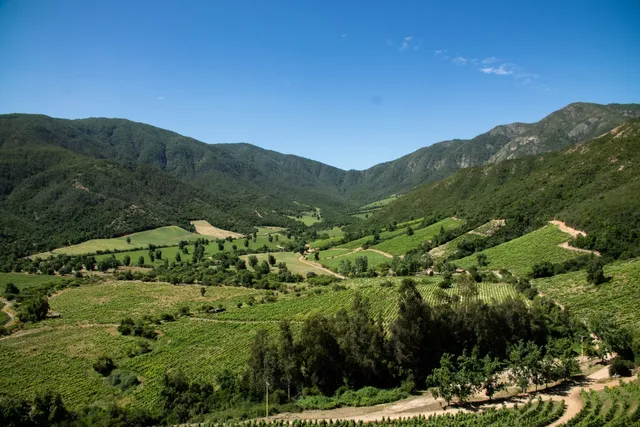 Viña Ventisquero - Viñedo La Roblería