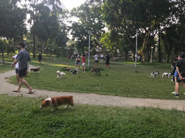 Dog Run @ Bishan Park