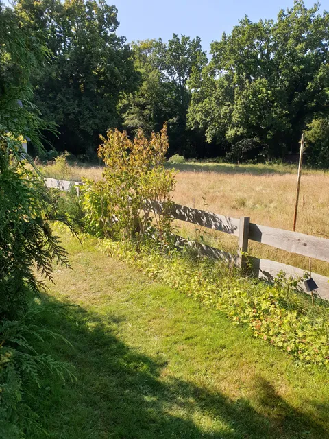 Ferienwohnung Lothar & Gisela Düppe