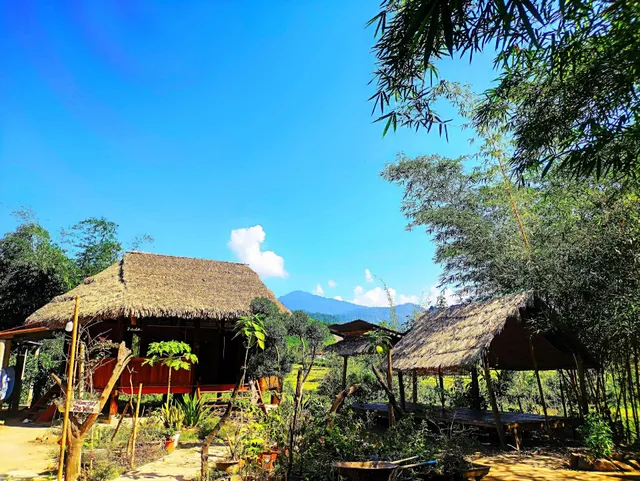 Tre Vàng Homestay