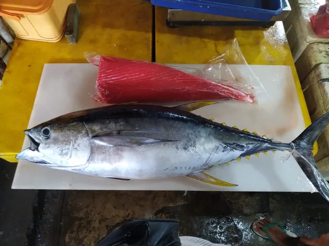 Sutar Seafood Supplier